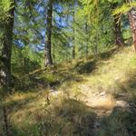 der Bergpfad verläuft aber weiterhin geradeaus, steil nach oben