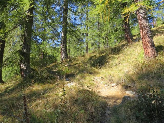 der Bergpfad verläuft aber weiterhin geradeaus, steil nach oben