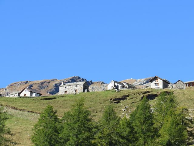 schon nach der nächsten Kurve erkennen wir am Horizont die Gebäude der Grossalp