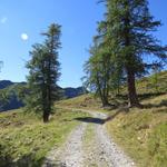 vorbei an Naatscha quert der Wanderweg wieder eine Naturstrasse