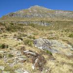 über einen einfachen Wanderweg, verlassen wir in nördlicher Richtung die Grossalp...