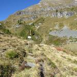 ...überqueren bei der Alp Farbranda einen Bergbach 1990 m.ü.M...