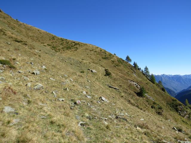 ...überqueren die Alpweiden von Tal, wo wir bei Punkt 2047 m.ü.M. wieder einen Bergbach überqueren