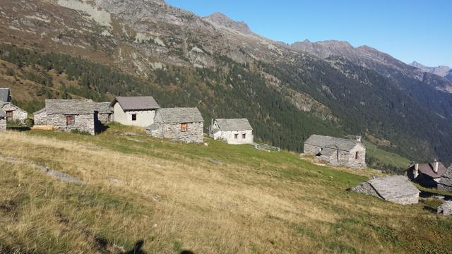 ...und erreichen danach wieder die Grossalp 1907 m.ü.M.