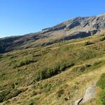 sanft ansteigend geht es durch den weiten Kessel der Grossalp