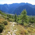 hier oben geniessen wir eine sehr schöne Aussicht in das waldreiche Valle di Campo