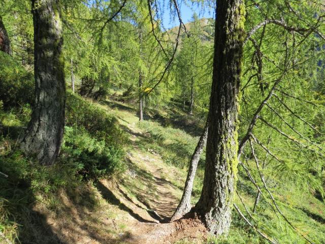 ohne grösseres Gefälle oder Steigungen, unterhalb von Klein- und Grosshorn Punkt 1850 m.ü.M...