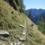 ...und wandern nun über einen sehr schönen Höhenweg über die Hochweiden von Bombögn