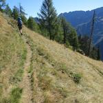 auf diesem wunderschönen Höhenweg mit einer traumhaften Aussicht, wandern wir weiter talauswärts