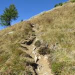 zu Beginn ist der Bergweg noch sehr gut ersichtlich