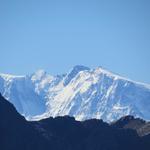 dahinter zeigt sich prächtig die Monte Rosa Ostwand mit Nordend und Dufourspitze