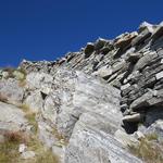 1948 wurde diese Mauer erbaut. Sie sollte die gefrässigen Ziegen am Eindringen in die Waldpflanzungen hindern