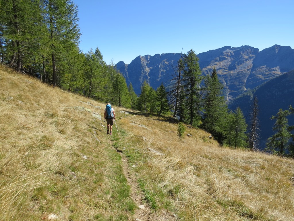 der Wanderweg führt zuerst noch über offene Weiden...