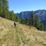 der Wanderweg führt zuerst noch über offene Weiden...