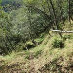 steil geht es über den zickzack Weg abwärts nach Corciàn 1460 m.ü.M.