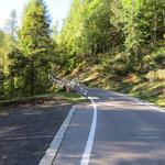 auf der Strasse aufwärts geht es nun nach Cimalmotto