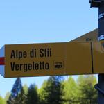 ...Richtung Alpe di Sfii führt