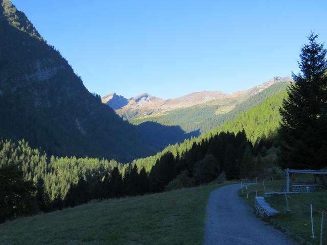 Blick ins Tal und gleichzeitig zur italienischen Grenze. Die hohen Berge am Horizont liegen schon in Italien