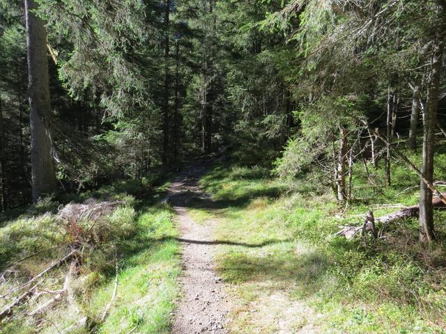 hier zweigt der markierte Wanderweg...