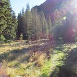 auf der anderen Seite des Rovana Tobel, steigt der Wanderweg, westlich des Ri di Sfii in einem Seitental zur Alpe di Sfii an