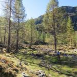 der Wanderweg ist nun zum Teil nicht mehr so gut ersichtlich, aber immer noch problemlos machbar