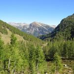 Blick zurück zum Pizzo Bombögn