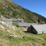 auf der Alpe di Porcaresc wird ein wohlschmeckender, geschätzter Alpkäse hergestellt
