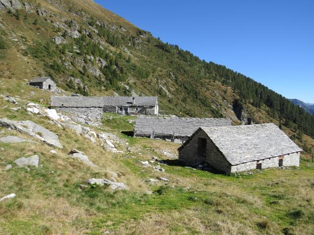 auf der Alpe di Porcaresc wird ein wohlschmeckender, geschätzter Alpkäse hergestellt