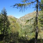 Blick auf die andere Talseite zum Passo della Cavegna