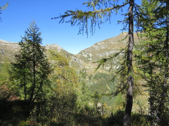 Blick auf die andere Talseite zum Passo della Cavegna