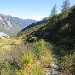 weiterhin auf dem Höhenweg bleibend...