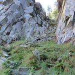 ein prächtig angeordneter Steinplattenweg führt uns in diese schwer begehbare wilde Zone hinein