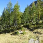 weiter talauswärts wandernd...