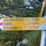 wir wandern aber weiter geradeaus talauswärts, Richtung Capanna Alpe di Salei
