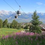 Wanderung Haute Nendaz - Saxon Suone - Balavaux - Tracouet 30.7.2016