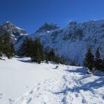 der Trail führt uns zuerst leicht abwärts