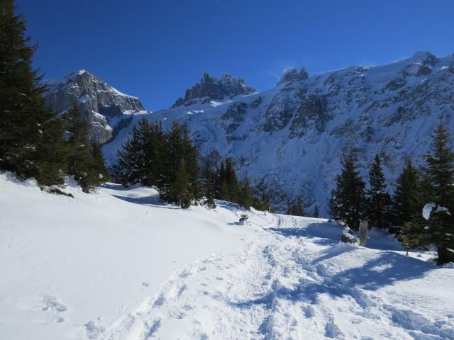 der Trail führt uns zuerst leicht abwärts