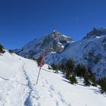 der Schneeschuhtrail ist vorbildlich markiert und immer gut ersichtlich