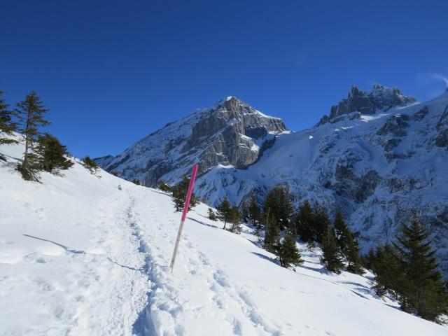 der Schneeschuhtrail ist vorbildlich markiert und immer gut ersichtlich