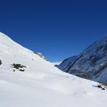 bei Waldegg oberhalb von Punkt 1648 m.ü.M. führt der Grotzli Trail eine links Schlaufe durch