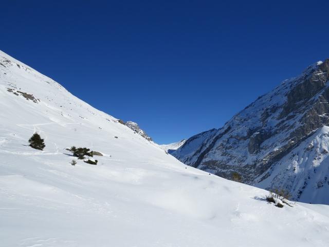 bei Waldegg oberhalb von Punkt 1648 m.ü.M. führt der Grotzli Trail eine links Schlaufe durch