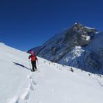 wir folgen nun nicht mehr den Grotzli Trail, der zur Fürenalp zurückführt...