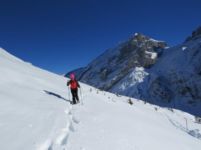 wir folgen nun nicht mehr den Grotzli Trail, der zur Fürenalp zurückführt...