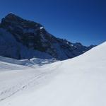 über den Titlis Trail laufen wir zurück zur Fürenalp, die vor uns ersichtlich ist