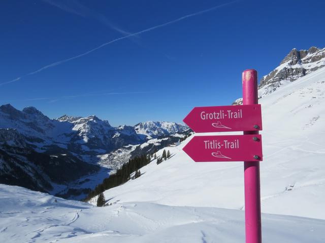 auf der Fürenalp sind zwei Schneeschuhtrails ausgesteckt. Der Grotzli- und der Titlis Trail