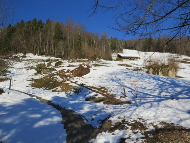 ... um danach über eine Wiese aufzusteigen