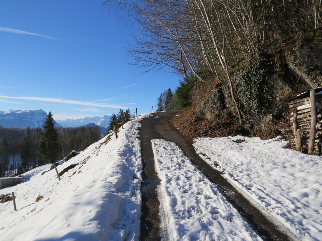 ein kurzes Stück geht es der Strasse entlang