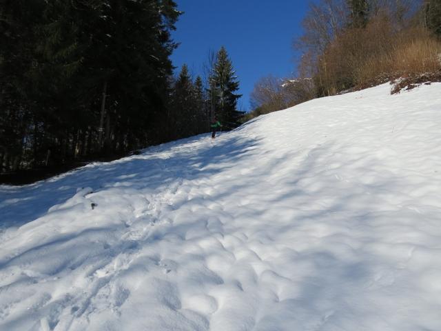 über nun schneebedeckte Wiesen geht es nun aufwärts