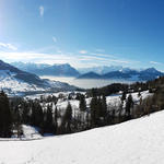 schönes Breitbildfoto mit Blick in die Urner Alpen. Bei Breitbildfotos nach dem anklicken, immer noch auf Vollgrösse klicken
