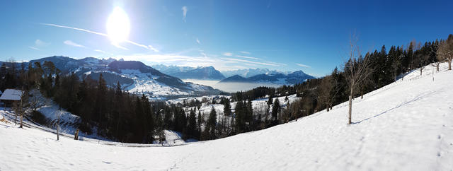 schönes Breitbildfoto mit Blick in die Urner Alpen. Bei Breitbildfotos nach dem anklicken, immer noch auf Vollgrösse klicken